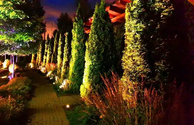 Как выбрать экологически безопасную и климатически устойчивую подсветку для сада